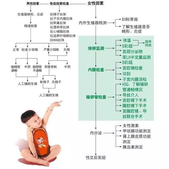 想生金猪宝宝迟几月份怀孕？